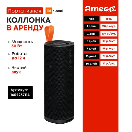 Колонка беспроводная портативная XIAOMI 30Вт QBH4261GL