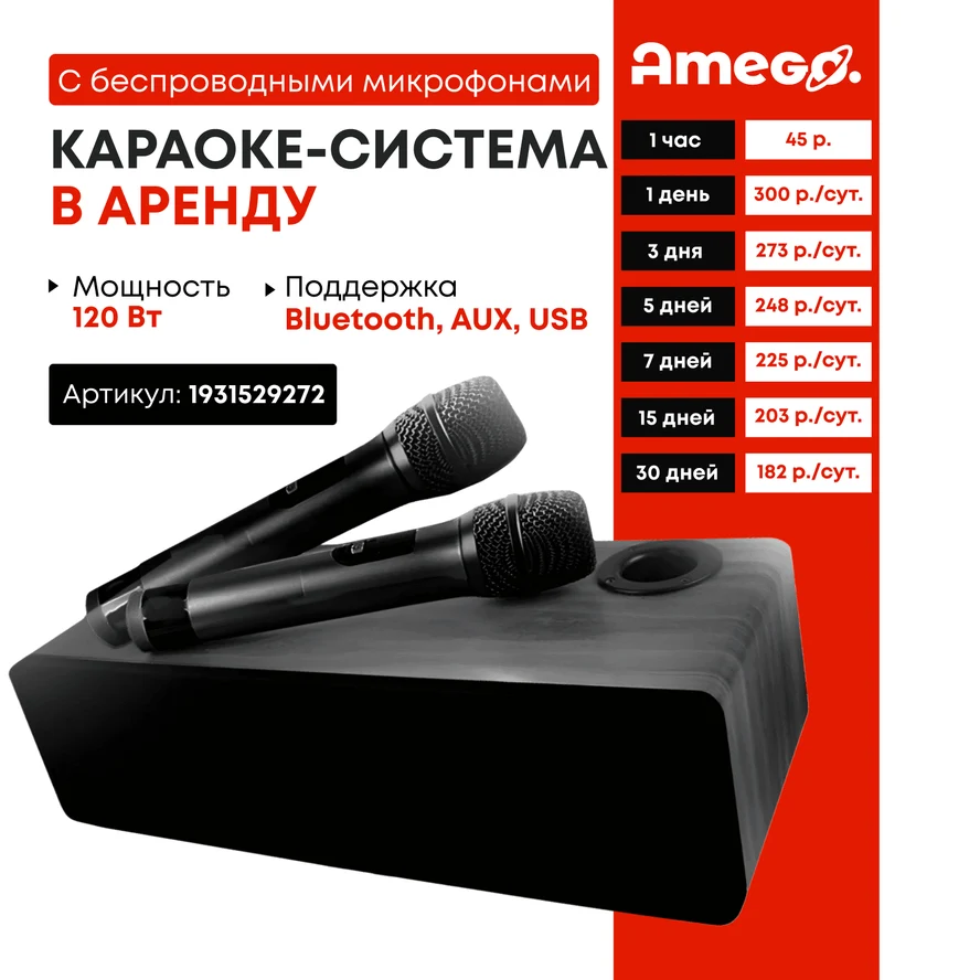 Караоке система с двумя беспроводными микрофонами
