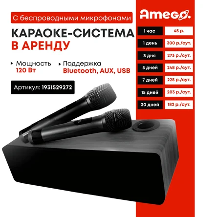Караоке система с двумя беспроводными микрофонами
